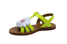 pom d'api sandaal lime met bloem