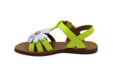 pom d'api sandaal lime met bloem