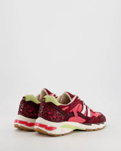 coolway 2003 dragon fruit