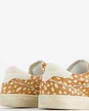 coolway blake craft rust