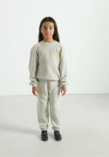 american vintage kodytown - polar melange
