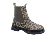 angulus stoere laars leo