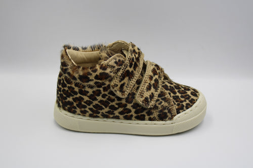Falcotto eerste sneakertje Horsy