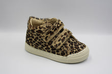 Falcotto eerste sneakertje Horsy