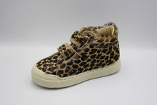 Falcotto eerste sneakertje Horsy