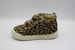 Falcotto eerste sneakertje Horsy