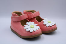 pom d'api stand up daisy - picante
