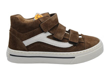 poldino sneaker espresso
