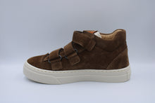 poldino sneaker espresso