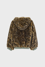 bellerose hasty oxyd grey