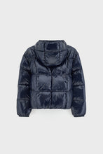 bellerose habu america