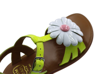 pom d'api sandaal lime met bloem